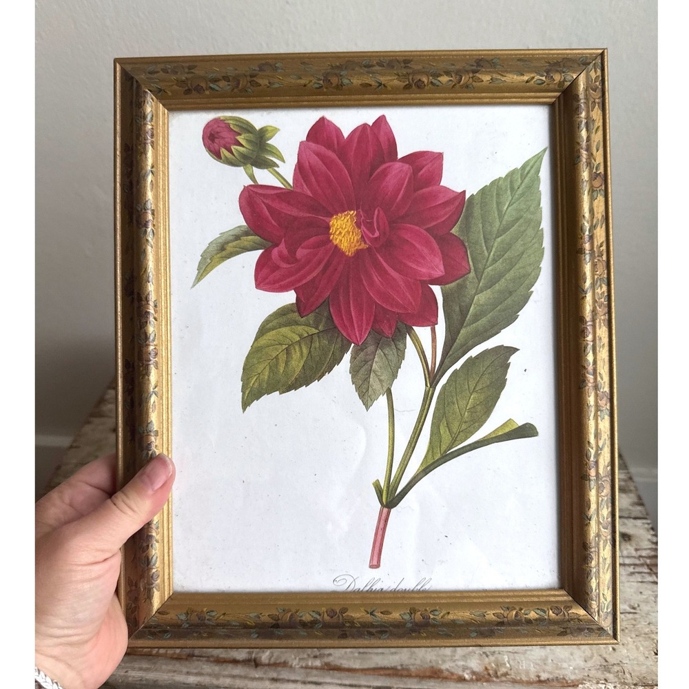 Vintage Botanical Dahlia Flower Print Gold Ornate Floral Frame 10x12
